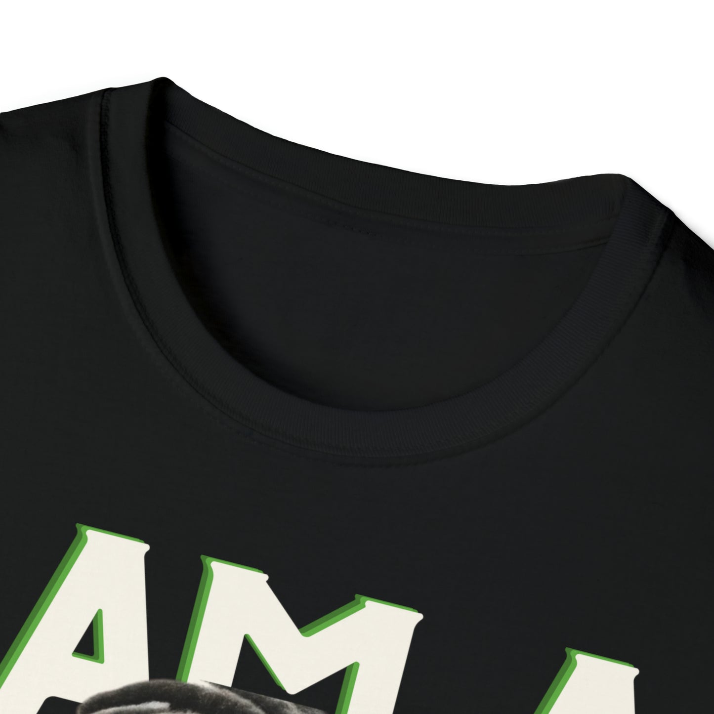THE SILVER SOLDIER "I AM A SUPERHERO" | Adult Unisex Softstyle T-Shirt | Superhero Fashion