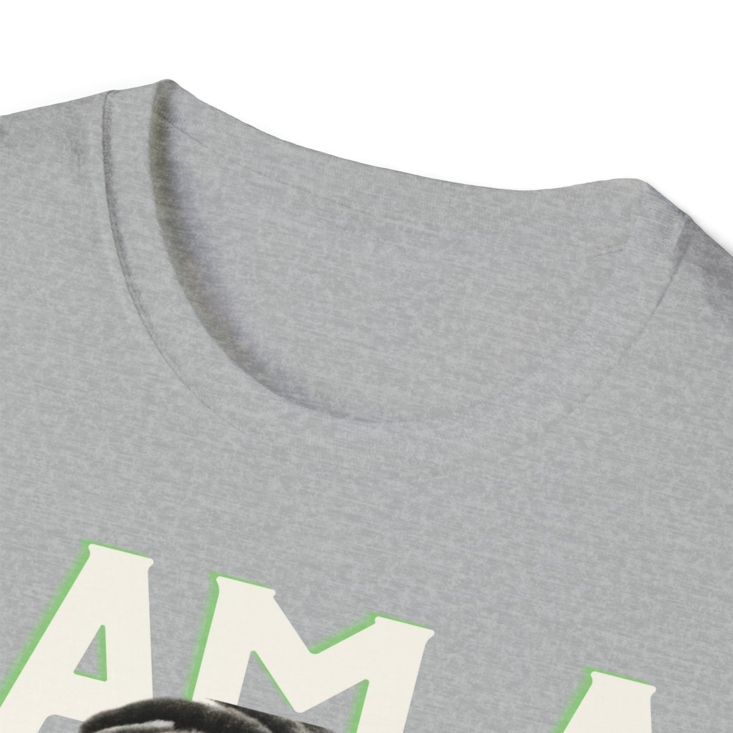 THE SILVER SOLDIER "I AM A SUPERHERO" |  Adult Unisex Softstyle T-Shirt | Superhero Fashion